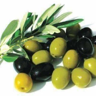 Quả olive xanh