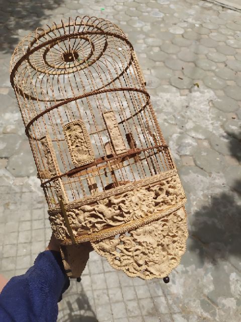 Lồng khuyên đục các tích