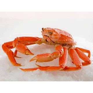 THỊT CUA TUYẾT HOGUSHIMI 55G