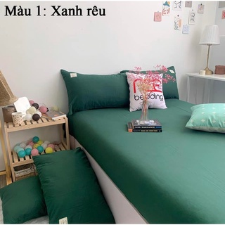 Bộ ga gối lẻ dòng Cotton Tici