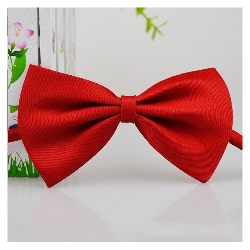 Vòng Cổ HìNh Nơ Xinh XắN Cho Thú Cưng