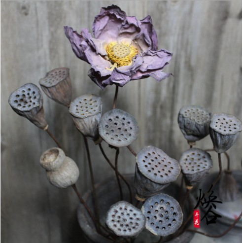 Đài sen khô tự nhiên trang trí decor