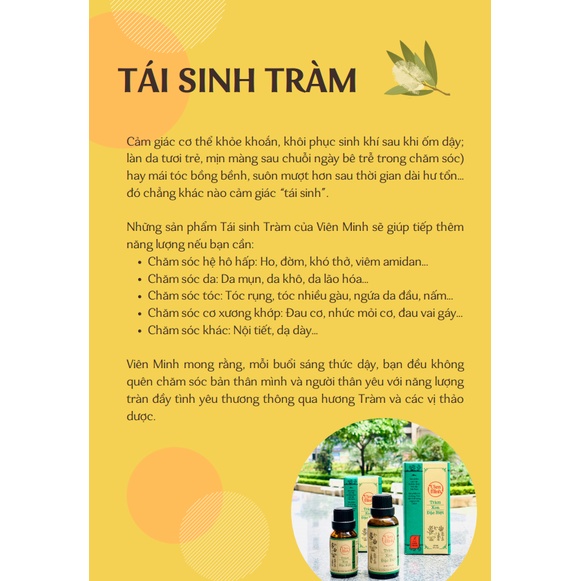 Tinh dầu Tràm Trà PH5 10ml / 50ml cao cấp Viên Minh