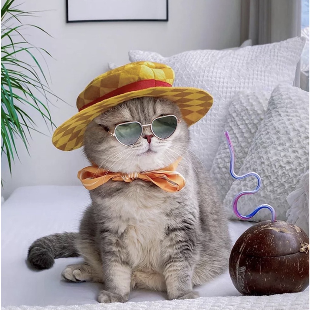 KÍNH MÁT TAM GIÁC SÀNH ĐIỆU CHO THÚ CƯNG CHÓ MÈO
