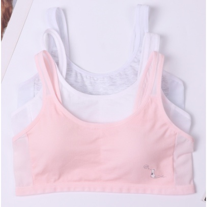 Bra / Áo Lá Cotton Nữ Sinh LOVE MIOO Xuất Đông Âu ( AL226 ) Hàng Loại Đẹp.