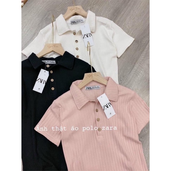 Áo polo ZR chất len tăm 3 màu cực sang dành cho nữ