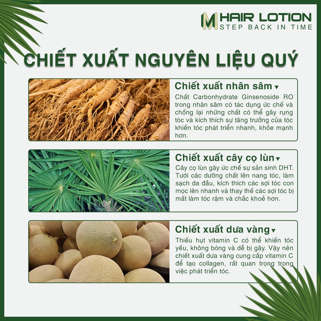 Tinh Dầu Mọc Tóc Nhanh M Hair Lotion 50ml | Ngăn Rụng Tóc | Không Dùng Với Tinh Dầu Bưởi Mọc Tóc Để Có Hiệu Quả Tốt Nhất | BigBuy360 - bigbuy360.vn