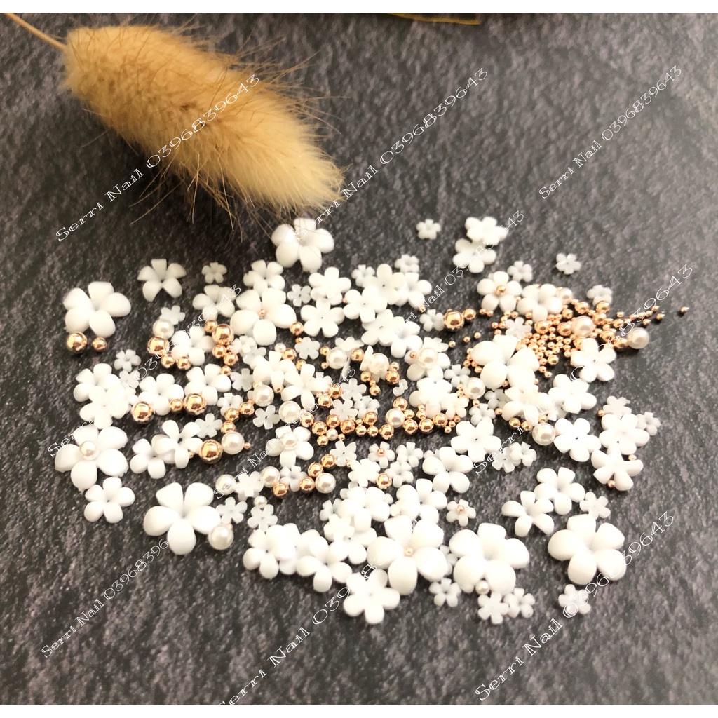 Set Hoa Nhí 5 Cánh Mix Size, Mix Màu 6 ô - Hoa Gắn Móng- TRANG TRÍ HOA