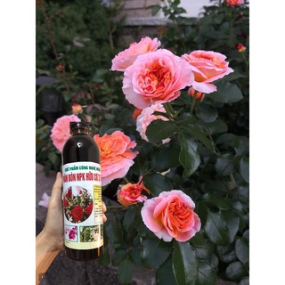 Phân bón NPK hữu cơ Mocgarden_shop