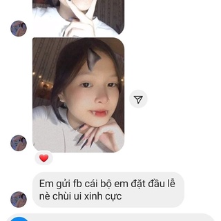 nail box thỏ thiết kế