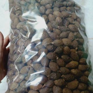 Hạt Đười Ươi Bay 500gram loại 1