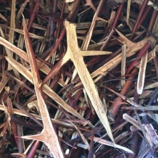 Gai Bồ Kết 500g