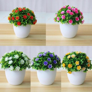 [Sẵn] Cây Giả Decor Mini Trang Trí Để Bàn