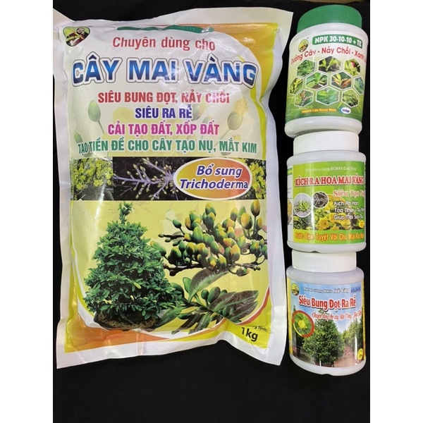 Phân kích ra hoa Mai vàng và cây Đào dưỡng nụ kim, dưỡng cây mai tết (p.mai, 30-10, bung đọt, kích mai)