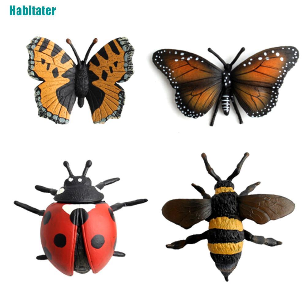 [Habitater] Mô Hình Côn Trùng / Bọ Cánh Cứng / Nhện / Ong Mật