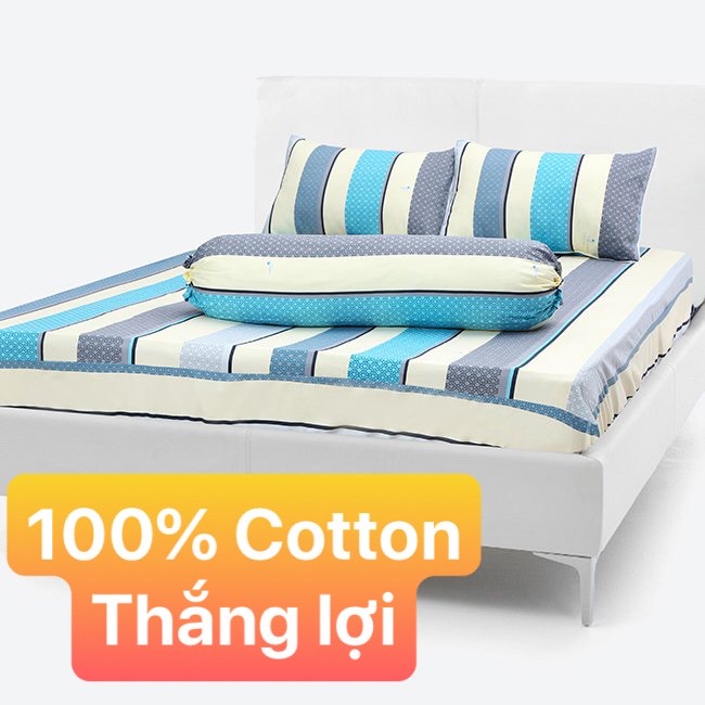 Bộ Drap Cotton THẮNG LỢI /4 món/ hoặc drap lẻ {chuẩn logo cty}