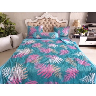 Drap thun Hàn quốc