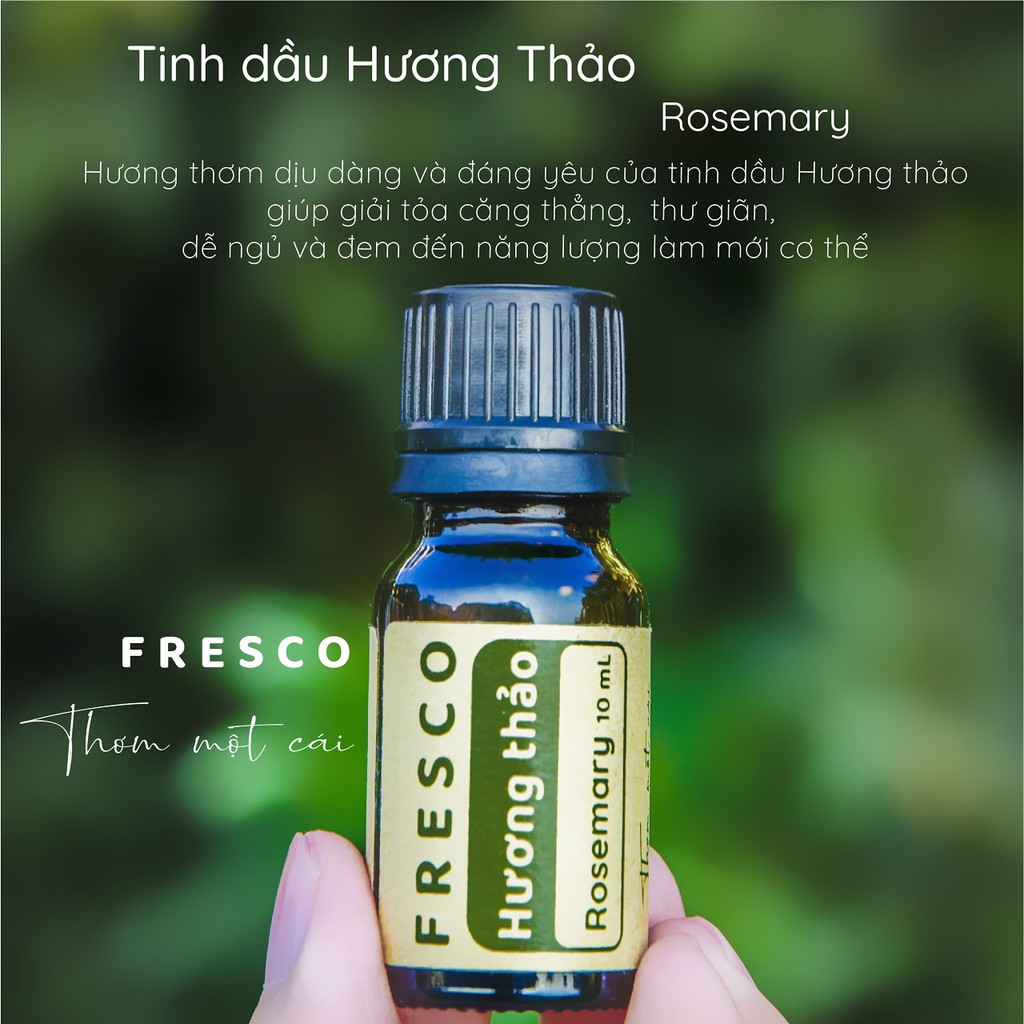 TINH DẦU HƯƠNG THẢO ROSEMARY 🌿FREESHIP🌿 CÓ KIỂM NGHIỆM CHẤT LƯỢNG (COA) - TINH DẦU THƠM PHÒNG THIÊN NHIÊN - ĐUỔI MUỖI