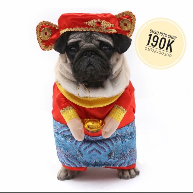Bộ thần tài cho thú cưng