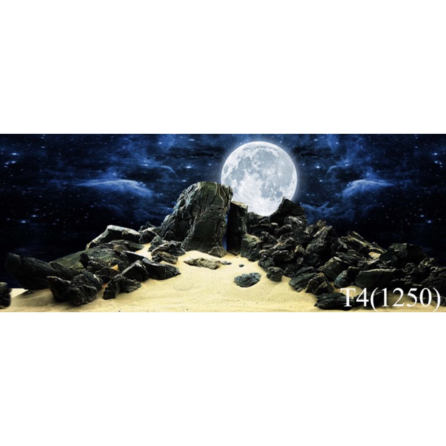 Tranh 3D hồ cá