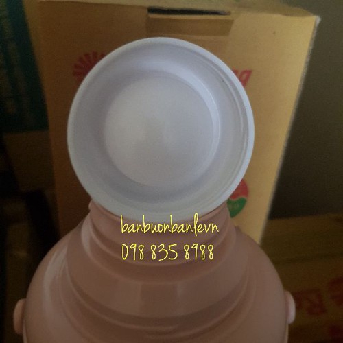 Nút phích nhựa 2 L Rạng đông -  dùng cho mẫu phích loại mới. | BigBuy360 - bigbuy360.vn