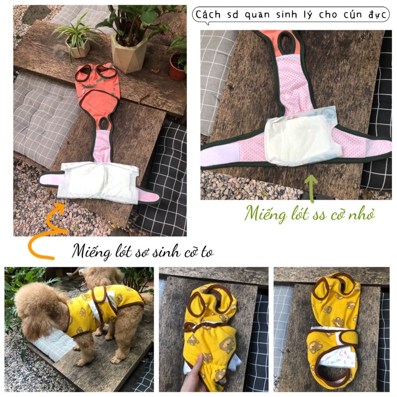 Quần sinh lý thú cưng unisex