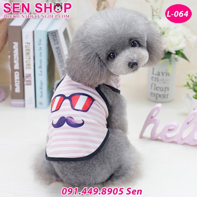 Áo cho chó poodle