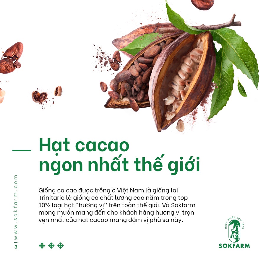 Hạt cacao &amp; mật hoa dừa (Sokfarm) - 75g