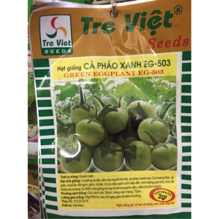 Hạt giống cà pháo xanh
