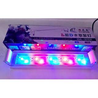 Đèn máng XML 4 hàng bóng led cho bể thuỷ sinh