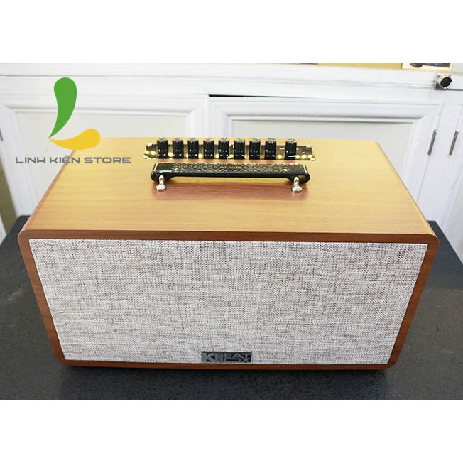 Loa kéo Acnos CS390 - Loa bluetooth thùng gỗ karaoke di động chất lượng cao, tặng kèm 2 micro không dây