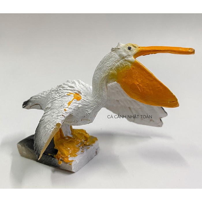 BỒ NÔNG TRANG TRÍ BỂ CÁ, NON BỘ CAO 6CM