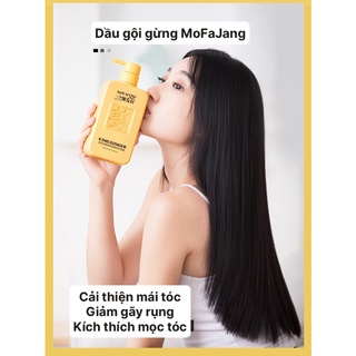 Dầu gội gừng KING GINGER MOFAJANG | Dầu gội gừng ngăn rụng tóc và kích thích mọc tóc