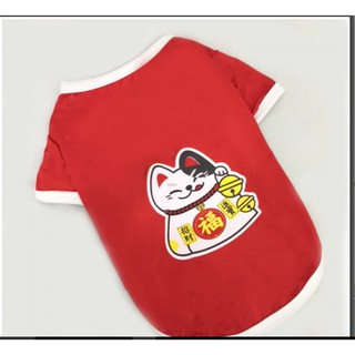 Quần áo chó mèo, áo mèo thần tài cho boss (hình thật)