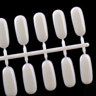 Vỉ móng úp sổ mẫu,mầu 24 móng