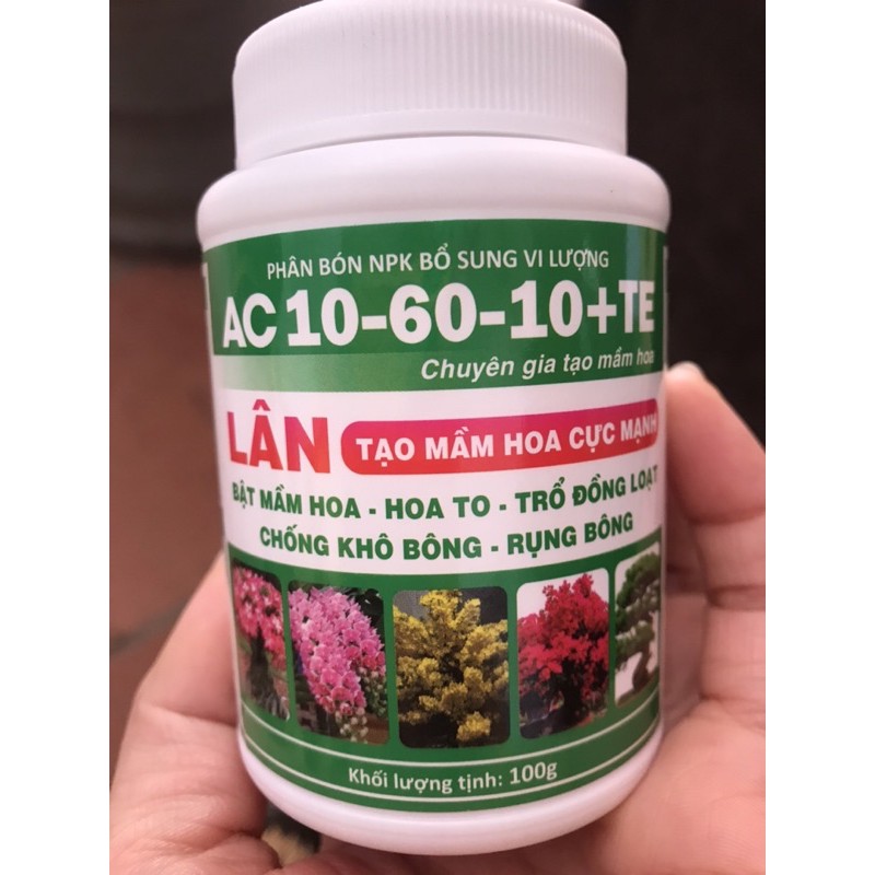 Phân Bón Siêu Lân 10-60-10+TE Tạo Mầm Hoa