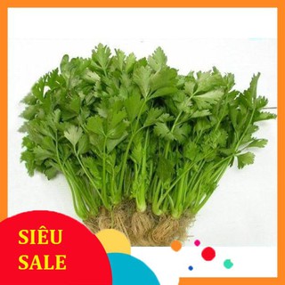 10g hạt giống rau cần tây vietphat