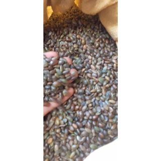 200 gram hạt bồ kết