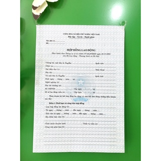 💥Compo 50 tờ Hợp đồng lao động