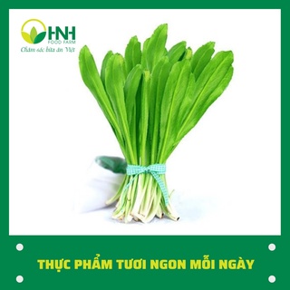 [CHỈ GIAO HÀ NỘI] Rau mùi tàu sạch ngon, trợ giá mùa dịch - HNH Food Farm
