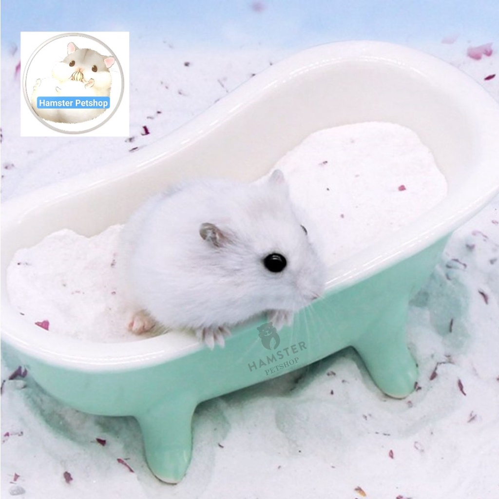 Bồn tắm sứ cao cho Hamster