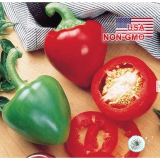Hạt Giống Ớt Trái Tim - Dày Thịt (Capsicum)