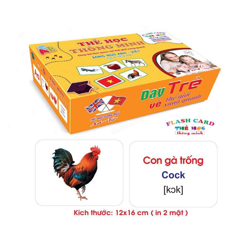 [Mã LIFETOYS1 giảm 30K đơn 99K] Thẻ Học Thông Minh Chủ Đề Dong Ngữ Chuẩn Glenn Doman Rèn Luyện Tu Duy Cho Bé