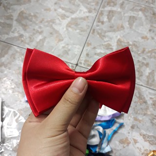 Nơ Mèo cho chú rể