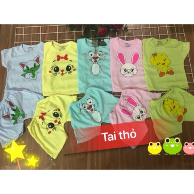 Combo 5 bộ cộc tay tai thỏ bé gái