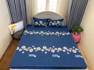 Vỏ chăn hàn quốc 100% cotton