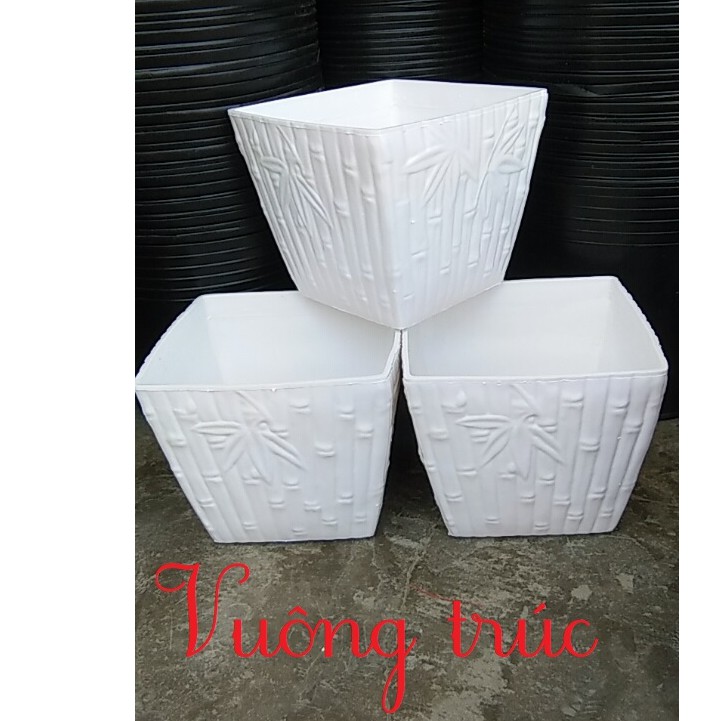 Chậu vuông trúc, chậu mây trồng cây hoa