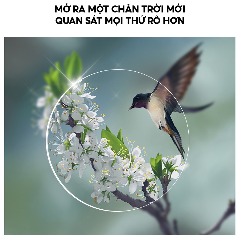 Kính Lão Dành Cho Người Viễn Thị Đọc Sách Có Thể Xếp Gọn Có Nhìu Độ Và Màu Hộp Đựng Bán Riêng LF-129