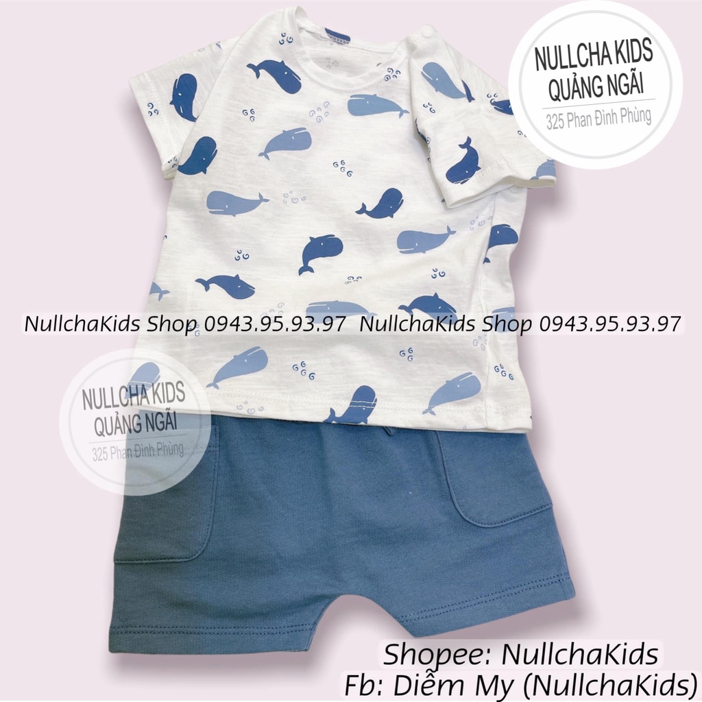 Cộc tay Raglan nhà Lullaby