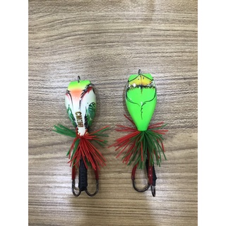 nhái gỗ câu cá ( nhái nhảy bulls )
